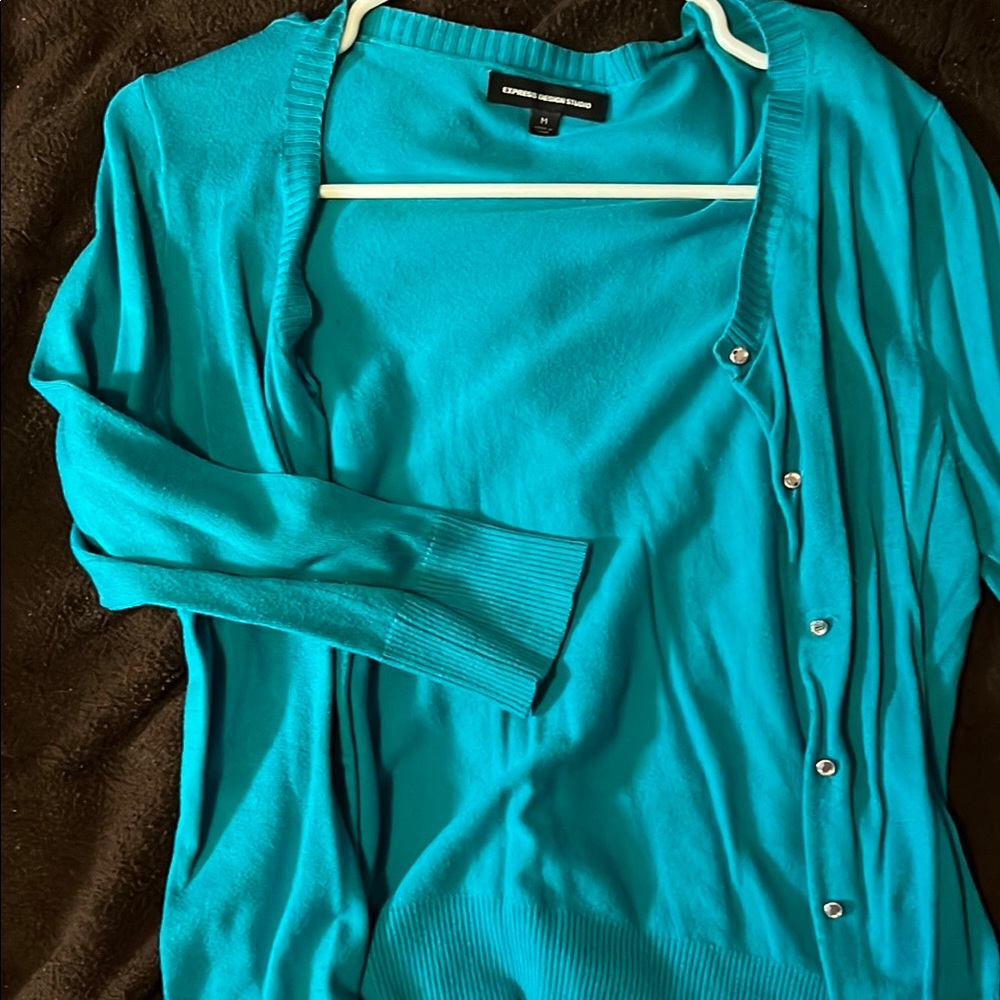 Express Women's Teal Sweater